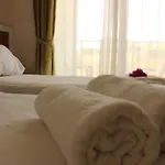 Harmony シダ