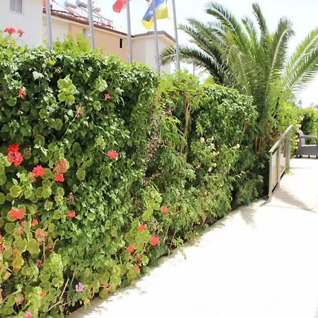 Harmony Otel 3*
