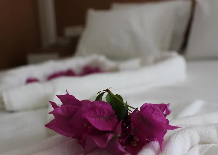 Harmony 3*