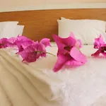 Harmony 3* 시데